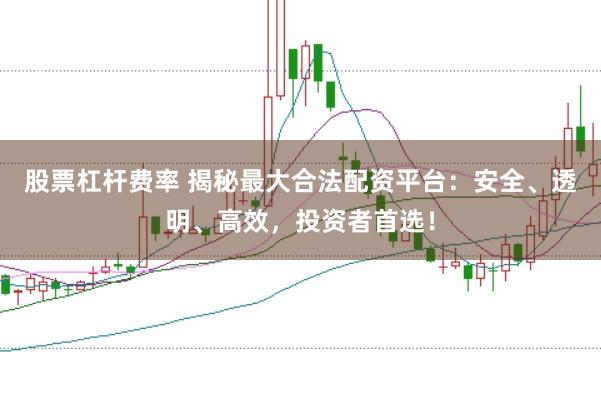 股票杠杆费率 揭秘最大合法配资平台：安全、透明、高效，投资者首选！
