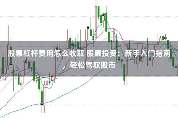 股票杠杆费用怎么收取 股票投资：新手入门指南，轻松驾驭股市