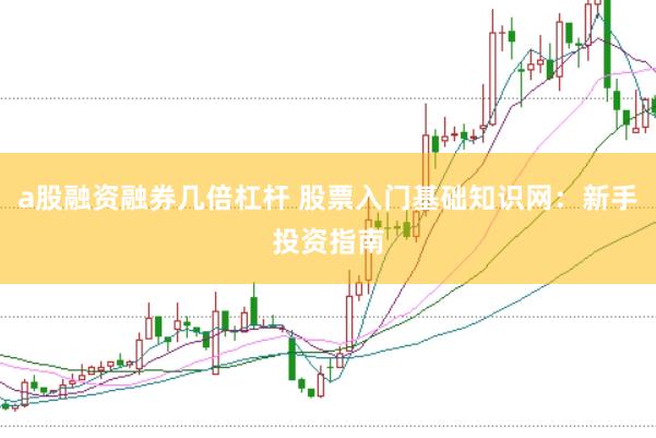 a股融资融券几倍杠杆 股票入门基础知识网：新手投资指南