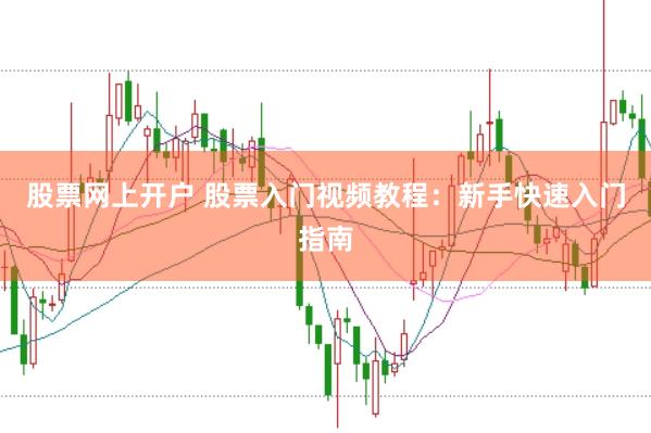 股票网上开户 股票入门视频教程：新手快速入门指南