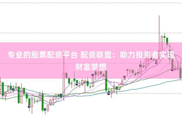 专业的股票配资平台 配资联盟：助力投资者实现财富梦想