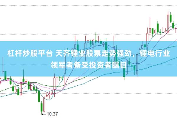 杠杆炒股平台 天齐锂业股票走势强劲，锂电行业领军者备受投资者瞩目
