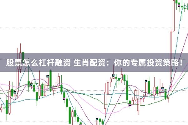 股票怎么杠杆融资 生肖配资：你的专属投资策略！