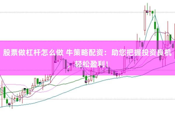 股票做杠杆怎么做 牛策略配资：助您把握投资良机，轻松盈利！