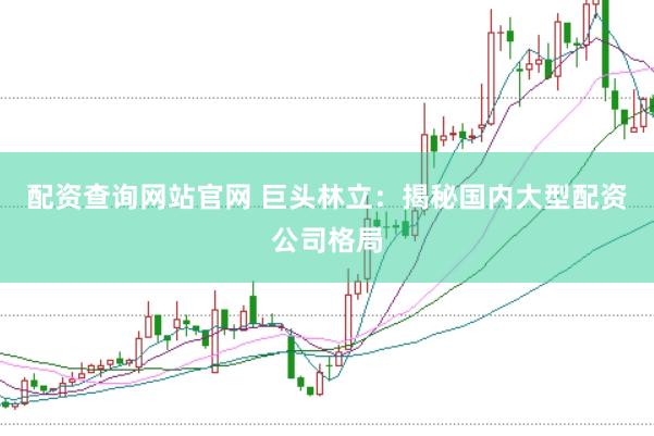 配资查询网站官网 巨头林立：揭秘国内大型配资公司格局