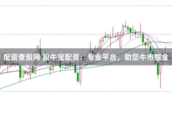 配资查股网 股牛宝配资：专业平台，助您牛市掘金