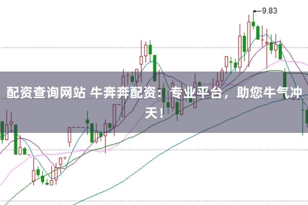 配资查询网站 牛奔奔配资：专业平台，助您牛气冲天！