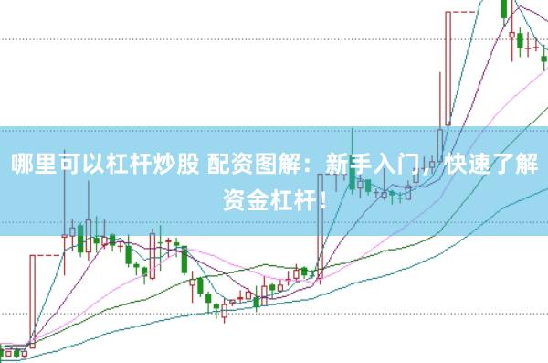 哪里可以杠杆炒股 配资图解：新手入门，快速了解资金杠杆！