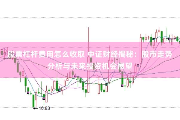 股票杠杆费用怎么收取 中证财经揭秘：股市走势分析与未来投资机会展望
