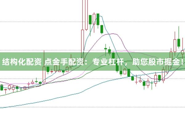结构化配资 点金手配资：专业杠杆，助您股市掘金！