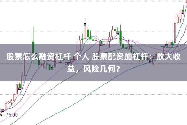 股票怎么融资杠杆 个人 股票配资加杠杆：放大收益，风险几何？