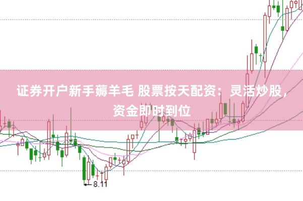 证券开户新手薅羊毛 股票按天配资：灵活炒股，资金即时到位