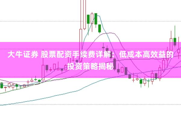 大牛证券 股票配资手续费详解：低成本高效益的投资策略揭秘