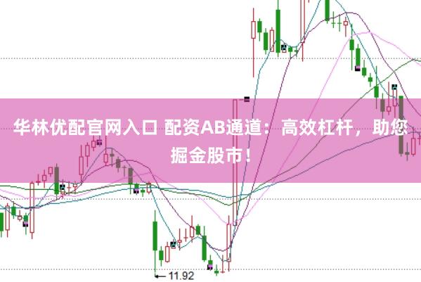 华林优配官网入口 配资AB通道：高效杠杆，助您掘金股市！