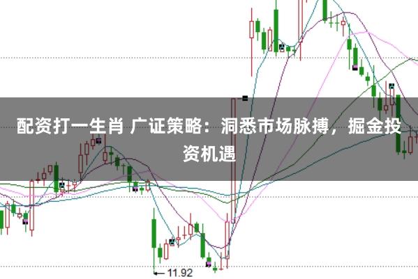 配资打一生肖 广证策略：洞悉市场脉搏，掘金投资机遇