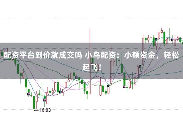 配资平台到价就成交吗 小鸟配资：小额资金，轻松起飞！