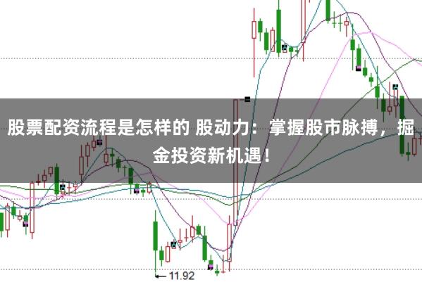 股票配资流程是怎样的 股动力：掌握股市脉搏，掘金投资新机遇！