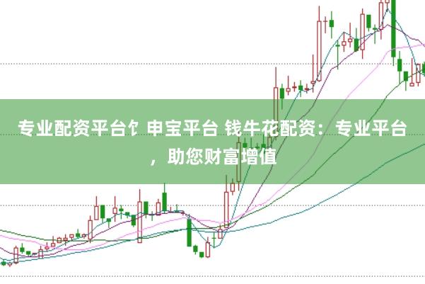 专业配资平台饣申宝平台 钱牛花配资：专业平台，助您财富增值