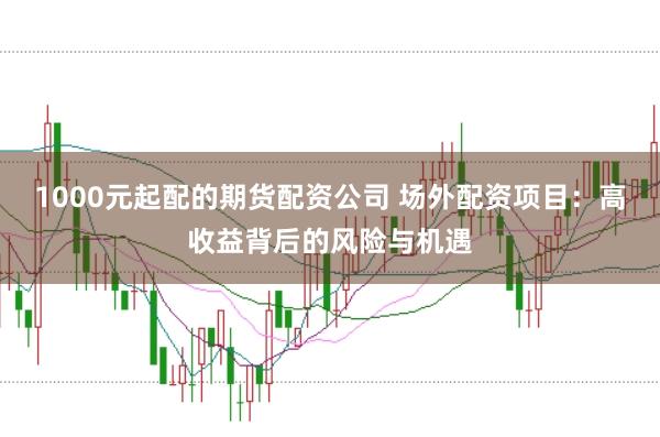 1000元起配的期货配资公司 场外配资项目：高收益背后的风险与机遇