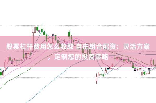 股票杠杆费用怎么收取 自由组合配资：灵活方案，定制您的投资策略