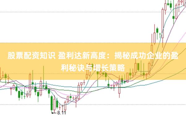 股票配资知识 盈利达新高度：揭秘成功企业的盈利秘诀与增长策略