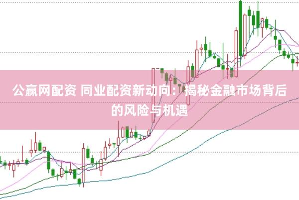 公赢网配资 同业配资新动向:揭秘金融市场背后的风险与机遇